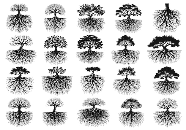 Trees roots silhouette icon vector set Taproot and fibrous root systems of various plants realisti