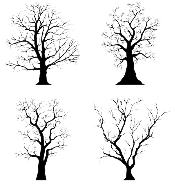 Trees silhouettes on white background