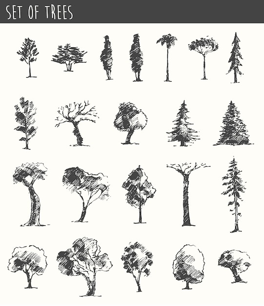 Trees sketch set, vintage illustration, engraved style, hand drawn