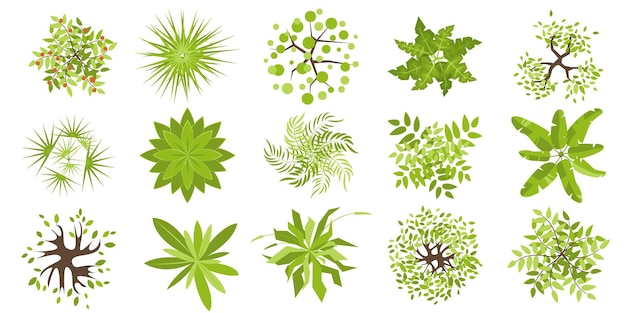 Vector trees top view different colored plants and trees vector set for architectural and landscape design