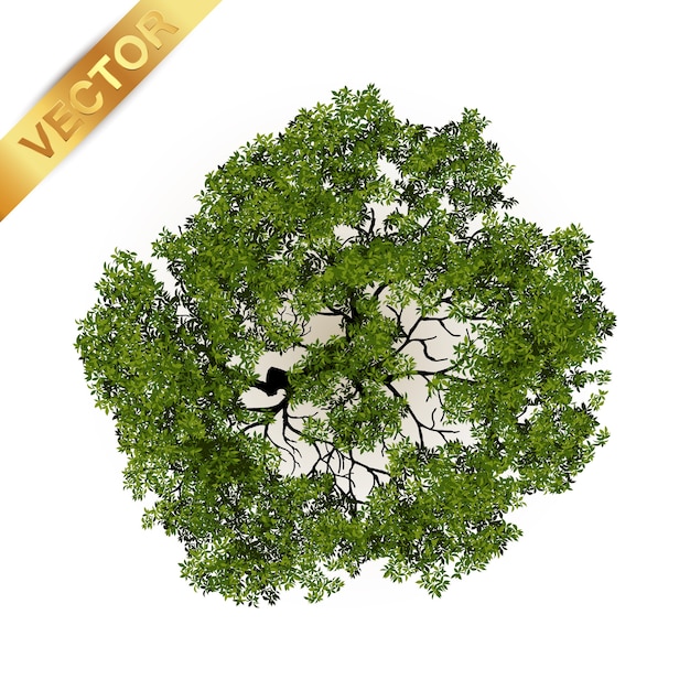 Trees top view for landscape vector illustration.