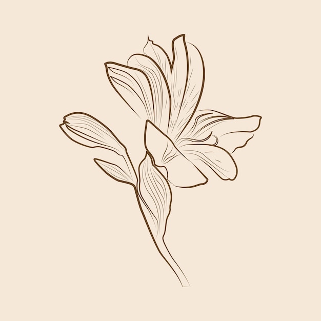 Trendy modern hand drawn line art with alstroemeria