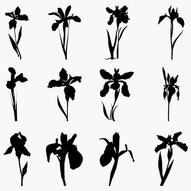 Trendy modern silhouettes iris flower