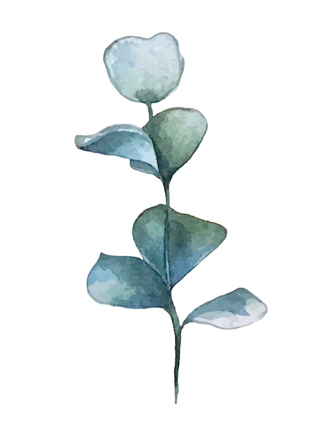 Trendy template with watercolor eucalyptus leaves for decoration design.