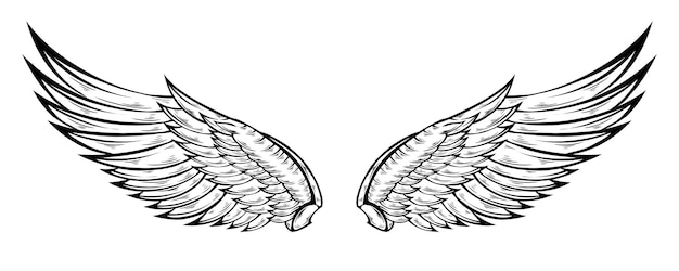 Tribal angel wings tattoo vector