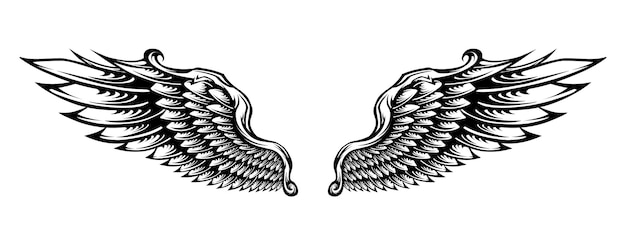 Tribal tattoo angel wing vector design