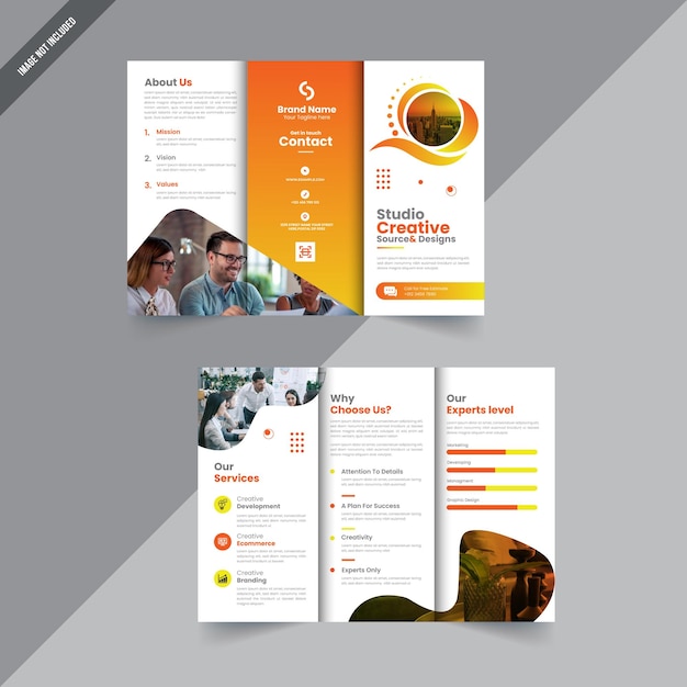 Trifold Brochure Layout Design