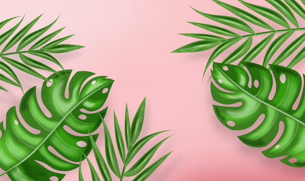 Tropic palm leaves background