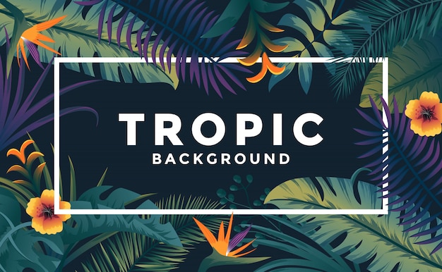 Tropical Background with frame 