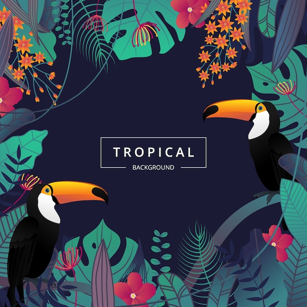 Tropical background with leaf, flower and toucan bird.