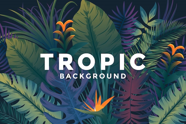 Tropical Background