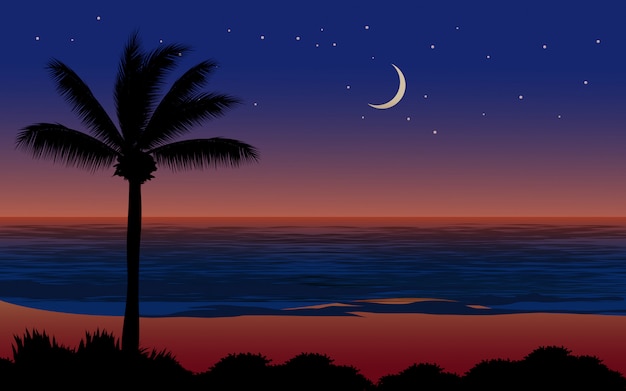 Tropical beach beautiful night with moon and stars