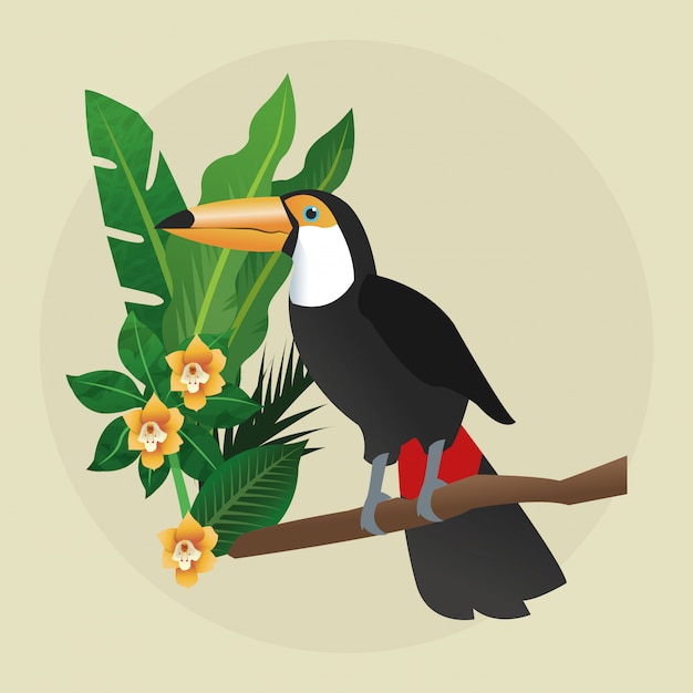 Tropical bird concept. nature icon 