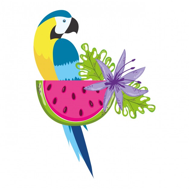 Tropical bird parrot cartoon