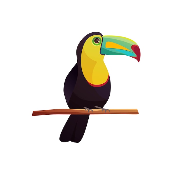 Tropical bird toucan sitting on a tree branch.