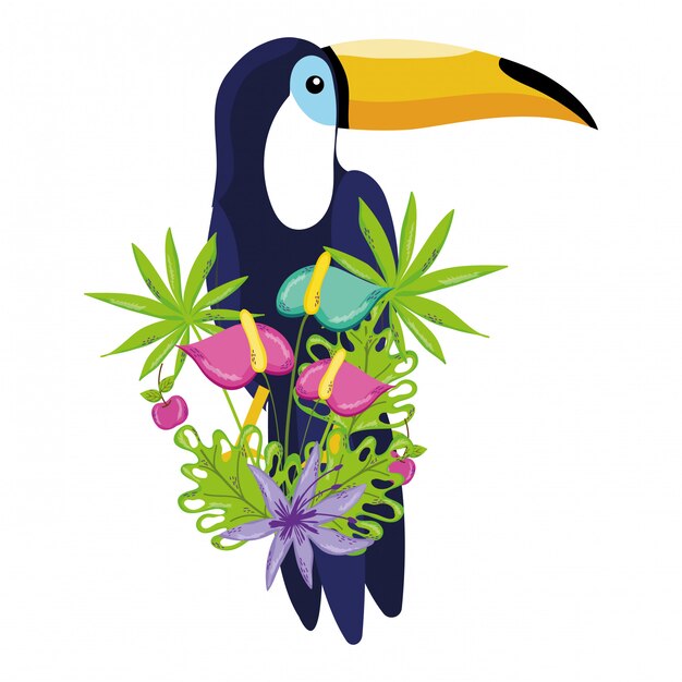 Vector tropical bird tucano cartoon