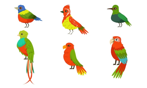 Tropical Birds Collection Beautiful Birdies with Colored Plumage Vector Illustration