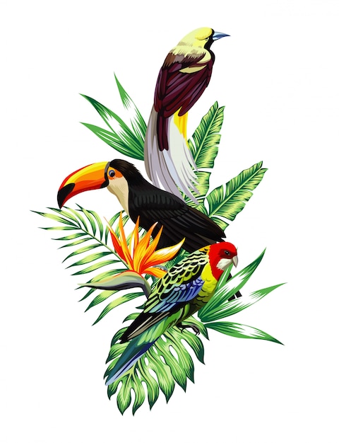 Tropical birds composition