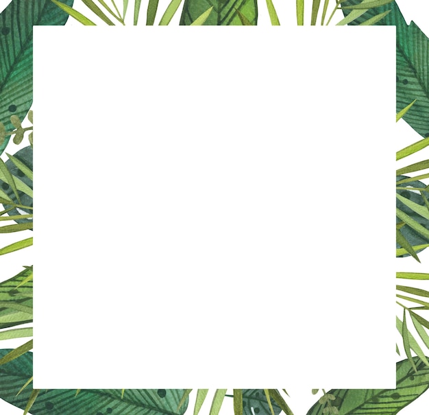 Tropical botanical frame with leaves