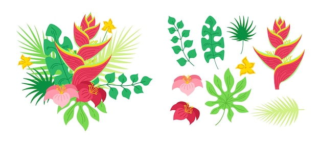 Tropical bouquet flowers of heliconia. Hawaiian. Exotic hand drawn jungle.  illustration