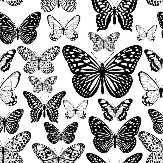 Tropical butterflies. Black and white seamless pattern.