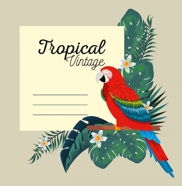 Tropical card with parrot and exotic flowers plants