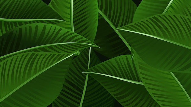 Tropical closeup green leaf. Vector nature background