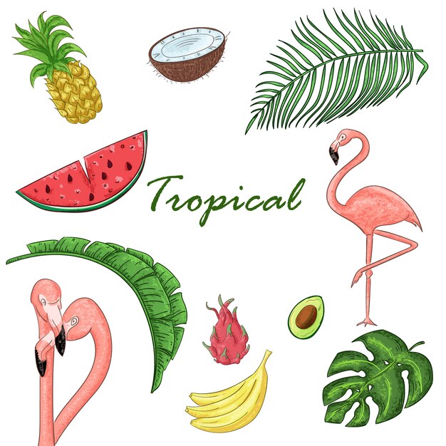 Vector tropical collection for summer party: exotic leaves, flamingos and fruits. 