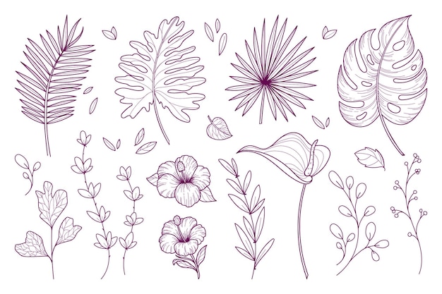 Tropical collection with exotic flowers and leaves Vector illustrations in sketch style isolated on white background