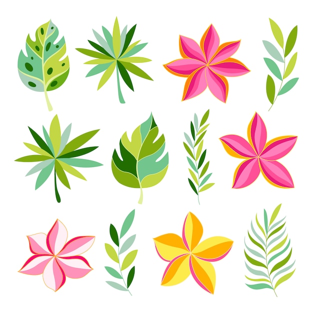 Tropical collection with exotic flowers and leaves.