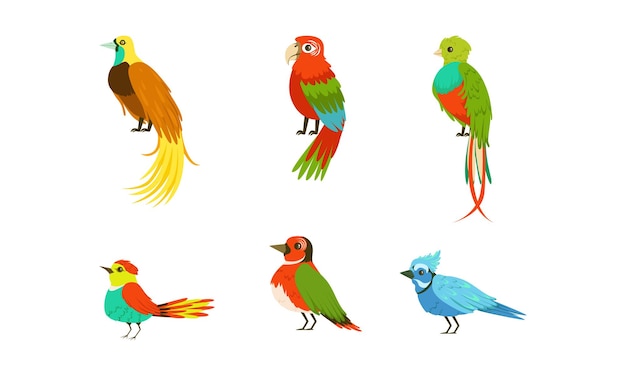 Vector tropical exotic birds collection beautiful bright parrots cartoon vector illustration