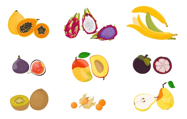 Tropical exotic fruits set. Raw vegetarian food. illustration cartoon flat icon collection isolated on white.