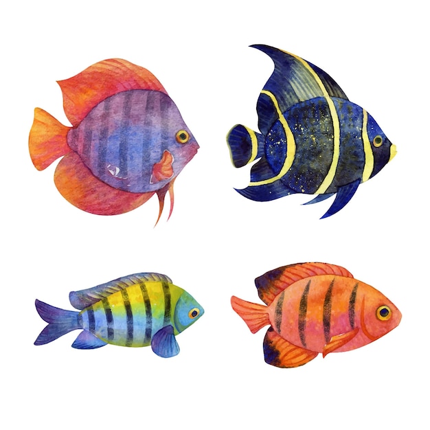 Tropical fish watercolor vector set isolated on white background