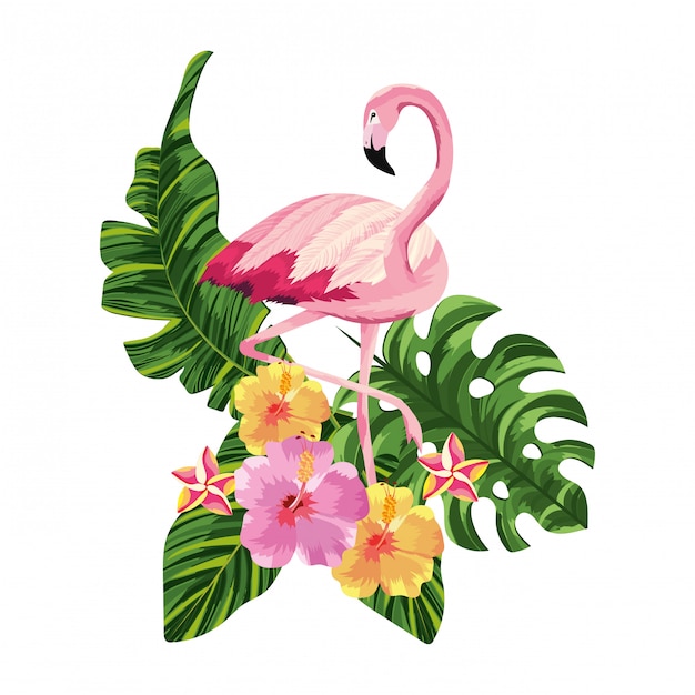 Tropical flamingo cartoon