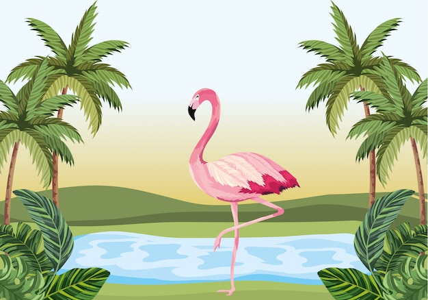 Tropical flamingo cartoon