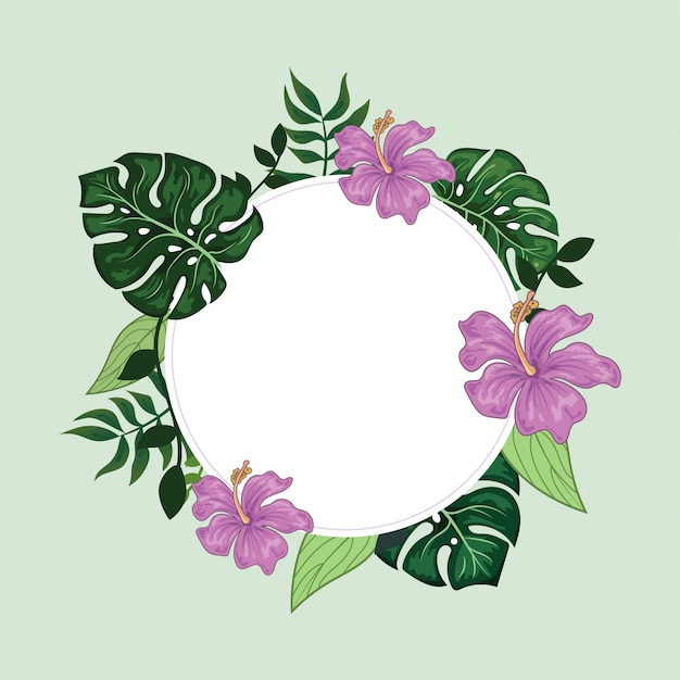 Tropical Floral Border Round Frame Background