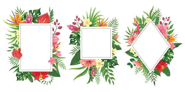 Tropical flower frames. Botanical tropics borders, tropic flowers invitation frame and summer plants green leaves background