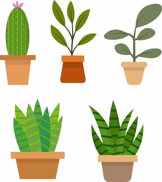 Tropical Flower Pot Illustration Various of Potted Plants Colorful of Fresh Foliage