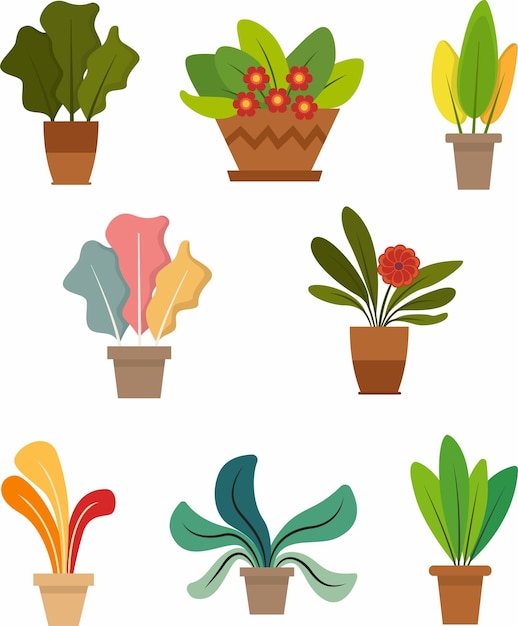 Tropical Flower Pot Illustration Various of Potted Plants Colorful of Fresh Foliage