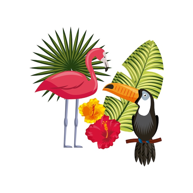 tropical flowers design