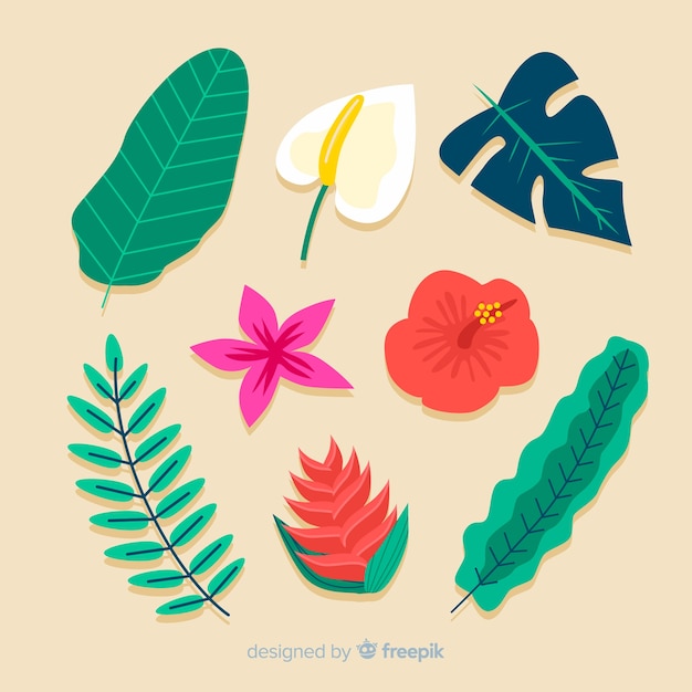 Tropical flowers and leaves collection