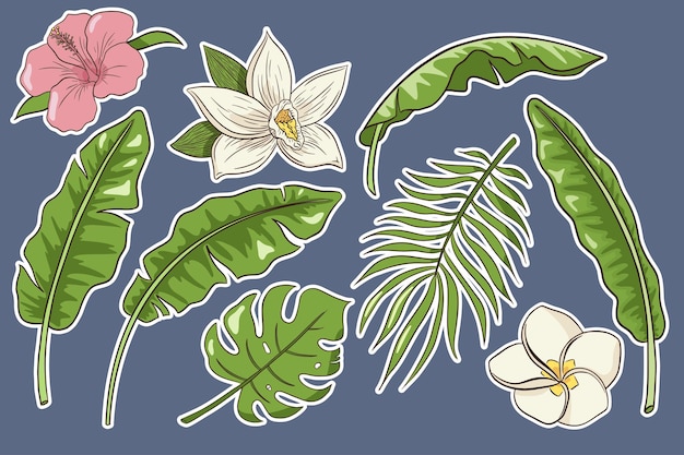 Tropical Flowers and Leaves Set. Stickers. Collection of hand drawn exotic plants and blossoms. Banana, palm and monstera leaves, hibiscus, plumeria and vanilla flowers. Premium Vector