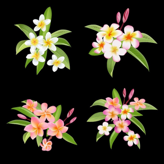 Tropical Flowers and Leaves Set