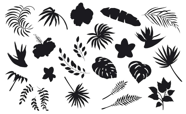 tropical flowers and leaves Silhouettes premium vector template