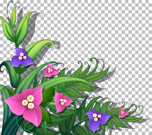 Tropical flowers with leaves on transparent background