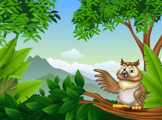 Tropical forest with cartoon owl waving