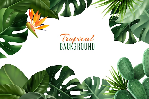 Tropical frame background with realistic houseplant leaves and flowers