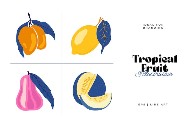 Tropical fruit and graphic design elements collection