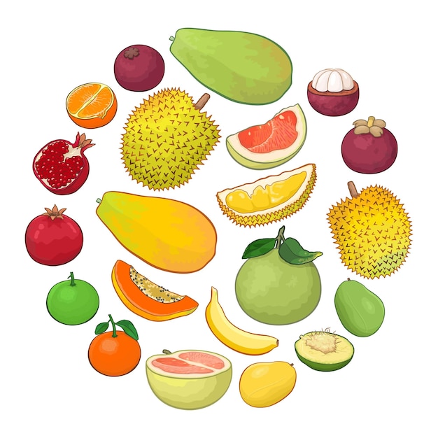 Tropical Fruit Illustrations Collection