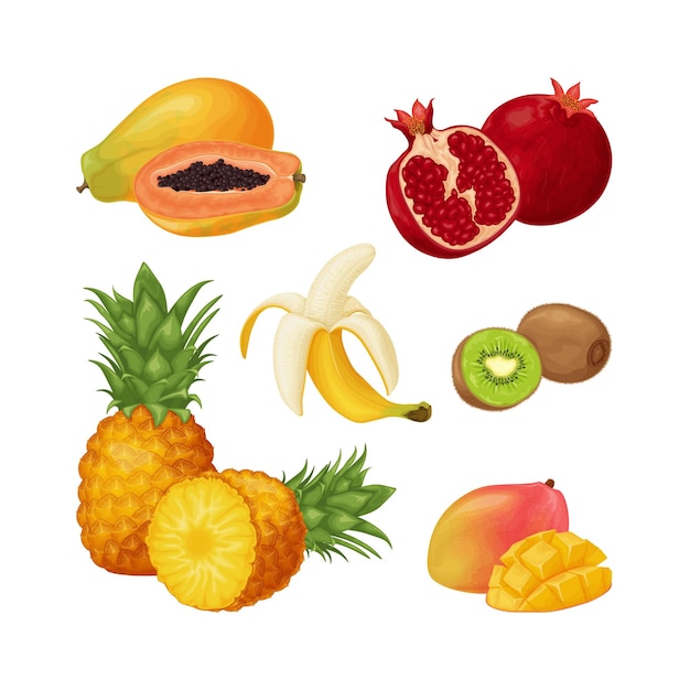 Tropical fruit set a collection of tropical fruits such as papaya pomegranate banana and pineapple k